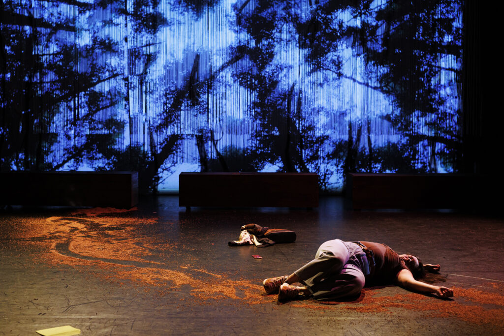 Écorces, d'Alice Carré